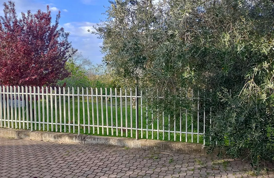 Verde Chiara-1